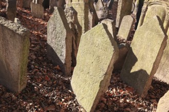 The Old Jewish Cemetery in the Josefov district is one of the most historically significant Jewish