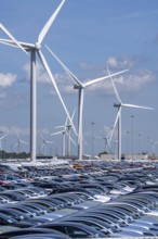 Storage area for new cars in the port of Vlissingen-Oost, vehicles are temporarily stored on over