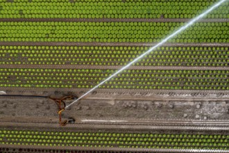 A field is artificially irrigated, water is sprayed onto the field via an irrigation system, field