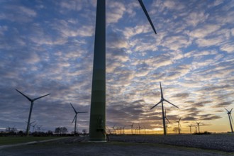 Wind farm near the East Frisian town of Norden, east of the town, sunset, Lower Saxony, Germany,