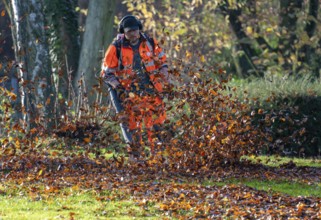 Leaf blower, removal of autumn leaves in a municipal park, Duisburg, North Rhine-Westphalia,