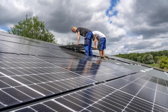 Installation of solar modules on the roof of a barn on a farm, over 210 photovoltaic modules are