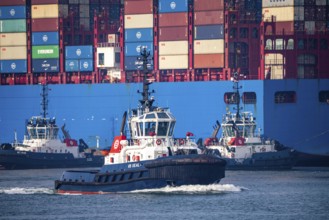 Harbour tug pushes the container freighter Cosco Shipping Leo to its berth at Hutchison Ports ECT