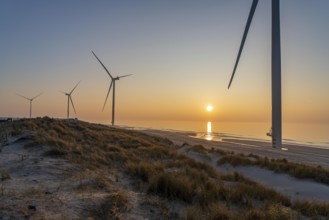 ENECO wind farm on the dike around the harbour Maasvlakte 2, 22 wind turbines with a capacity of