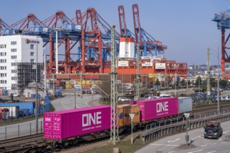 Port of Hamburg, Waltershofer Hafen, container ships, goods train with containers brings and