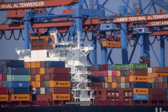 Container Terminal Altenwerder, Hapag-Lloyd container ship Frankfurt Express during loading and