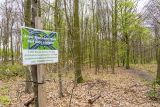 Protest posters, the Sterkrader Wald in Oberhausen, at the Oberhausen motorway junction, where the