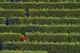 Green façade, made of over 30, 000 hornbeams forming a hedge a good 8 kilometres long, on the roof