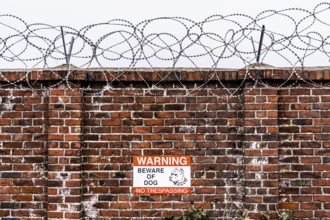 Company premises, wall secured with rolls of barbed wire, signpost for guard dog on the premises