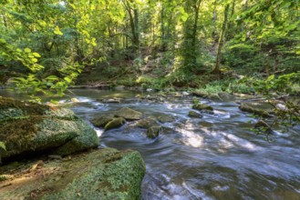 The Irrel Waterfalls, rapids in the lower course of the Prüm between Prümzurlay and Irrel, in the