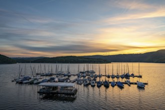 Lake Rursee, reservoir in the Eifel National Park, north-east bank near Heimbach, near the Rur dam