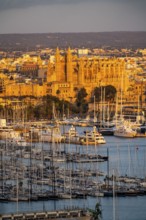 Panorama of Palma de Majorca, Bay of Palma, with the marina and the Cathedral of St Mary, Balearic