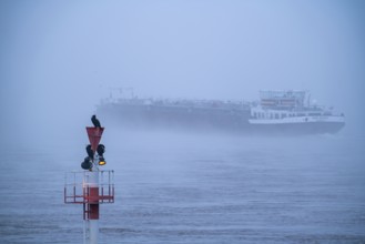 Dense fog, Rhine near Düsseldorf, cargo ship travelling south, very low visibility, navigation