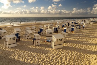 Beach chairs on the west beach near Westerland, Sylt island, North Friesland district,