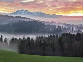 Foggy atmosphere in the light of the setting sun with a view of Mount Pilatus, Canton Zug,