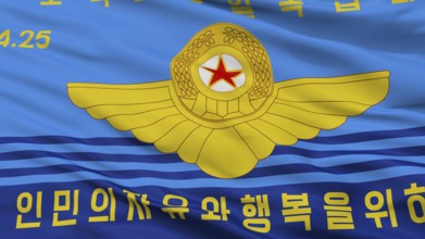 North Korean Peoples Army Air Force Flag, Closeup View