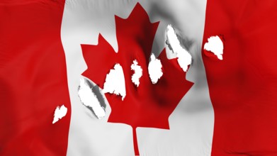 Canada flag perforated, bullet holes, white background, 3d rendering