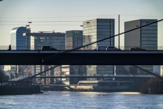 Rhine near Düsseldorf, houses in the media harbour, Rheinkniebrücke, North Rhine-Westphalia,