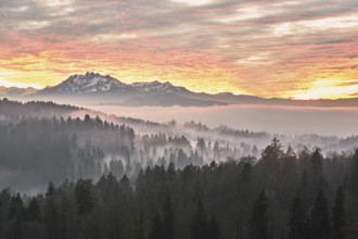 Foggy atmosphere in the light of the setting sun with a view of Mount Pilatus, Canton Zug,