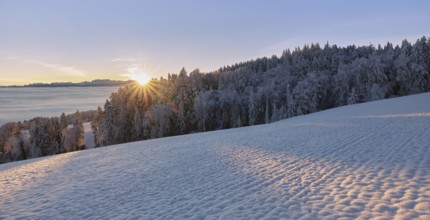 Sunrise over the sea of fog in the Reuss valley, Horben, Freiamt, Canton Aargau, Switzerland,