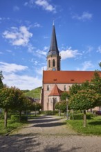 Church of St. Nicholas, square, trees, blue sky with cumulus clouds, Am Kirchplatz, Kappelrodeck,