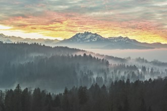 Foggy atmosphere in the light of the setting sun with a view of Mount Pilatus, Canton Zug,