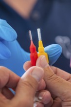 Two interdental brushes in red and yellow are held by hands, dental practice, Germany, Europe