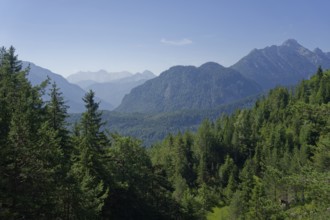 View from the Kranzberg to the Wetterstein mountains, Wetterstein, Mittenwald, Werdenfelser Land,