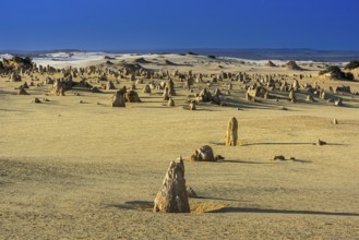 Pinnacles Desert, Nambung National Park, Kalbarri Region, Western Australia, Australia, Oceania