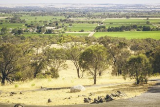 An image of the Barossa Valley landscape in Australia