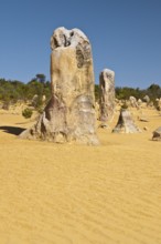 An image of the strange desert Pinnacles in Australia