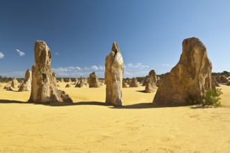 An image of the strange desert Pinnacles in Australia