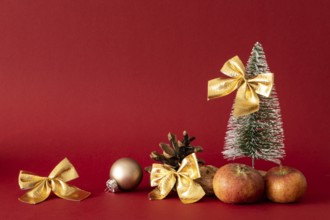 Christmas decoration with a fir tree on red background