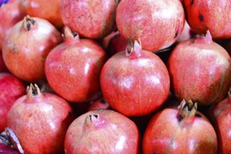 Pomegranates (Punica granatum) for sale, Mysore, Karnataka, South India, Pile of fresh red