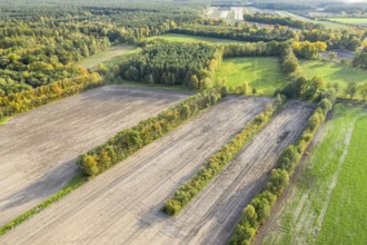 Cultural landscape, mix of farmland, meadows and forest, near Celle, Germany, Europe