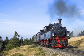 HSB, Harz narrow-gauge railway, locomotive, steam engine, smoke, HSB railway, Brockenbahn, Harz,