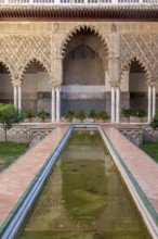 Patio de las Doncellas, Reales Alcázares de Sevilla, Seville, Andalusia, Spain, Europe