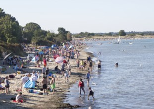 Late afternoon crowded summer sandy beach, Studland Bay, Swanage, Dorset, England, UK