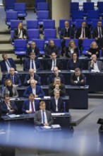 View of the AFD parliamentary group in the plenary of the Bundestag. Berlin, 31.01.2024