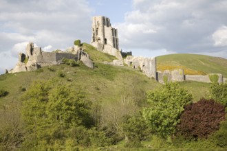 Corfe Castle is located in a natural defensive site on a hill between chalk ridges and for a