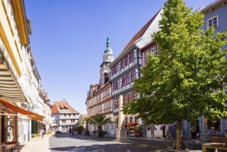 Market Church of St Boniface, Bad Langensalza, Thuringia, Germany, Europe