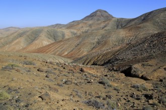 Bare moon-like arid landscape in mountains between Pajara and La Pared, Fuerteventura, Canary