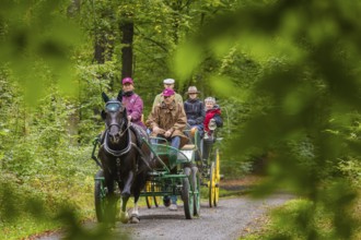 Presentation and route ride, all carriages in stylish tension, popular sporting event over approx.