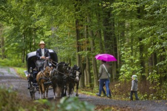 Presentation and route ride, all carriages in stylish tension, popular sporting event over approx.