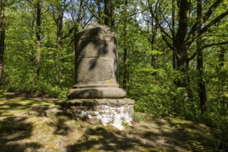 Firsten quarry in the Königshain mountains, Königshain, Saxony, Germany, Europe