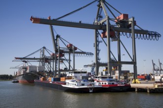 Container port quayside cranes, Port of Rotterdam, Netherlands