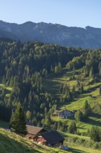 Urnäsch, mountain inn, path, mountain pasture, forest, Canton Appenzell, Ausserrhoden, Appenzell