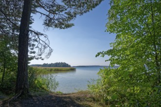 Bathing area and leisure facilities on the eastern shore of Lake Wigry in the Wigry National Park