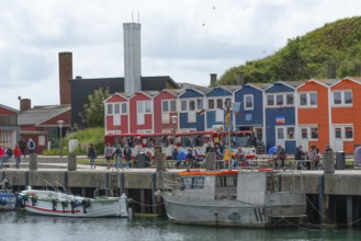 Colourful lobster shacks in the lowlands, promenade, shops, harbour with boats, many people,