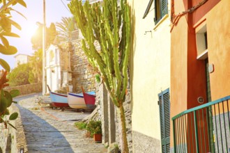 Manarola colorful scenic streets